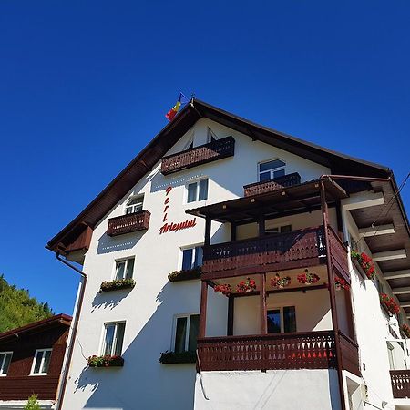 Pensiunea Perla Ariesului Albac Exteriér fotografie
