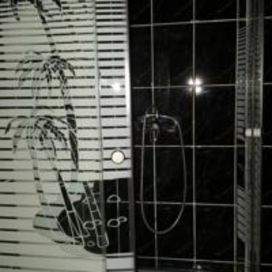 Pensiunea Perla Ariesului Albac Exteriér fotografie